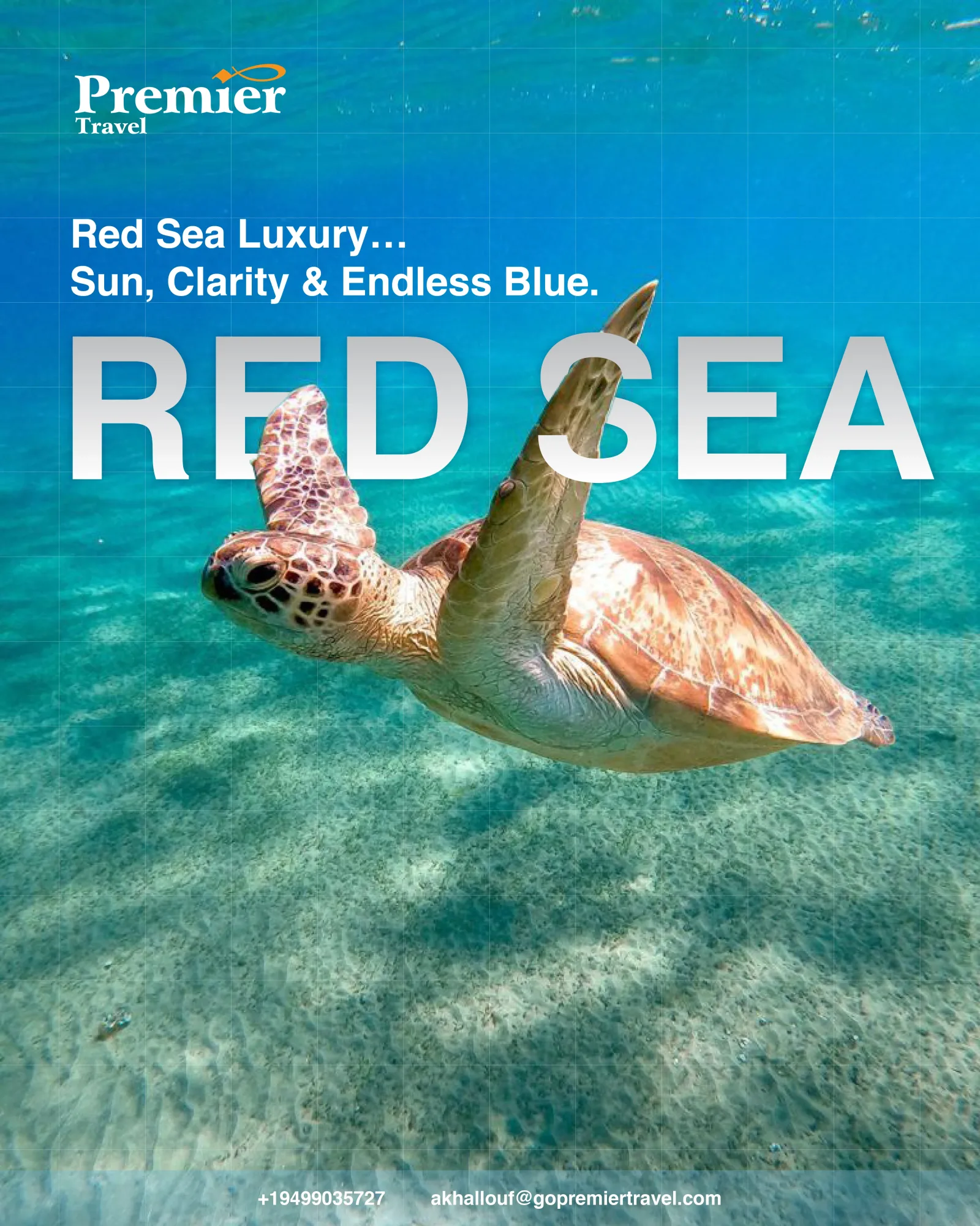 Premier Travel: Turning a Full-Service Travel Agency Into a Visual Experience