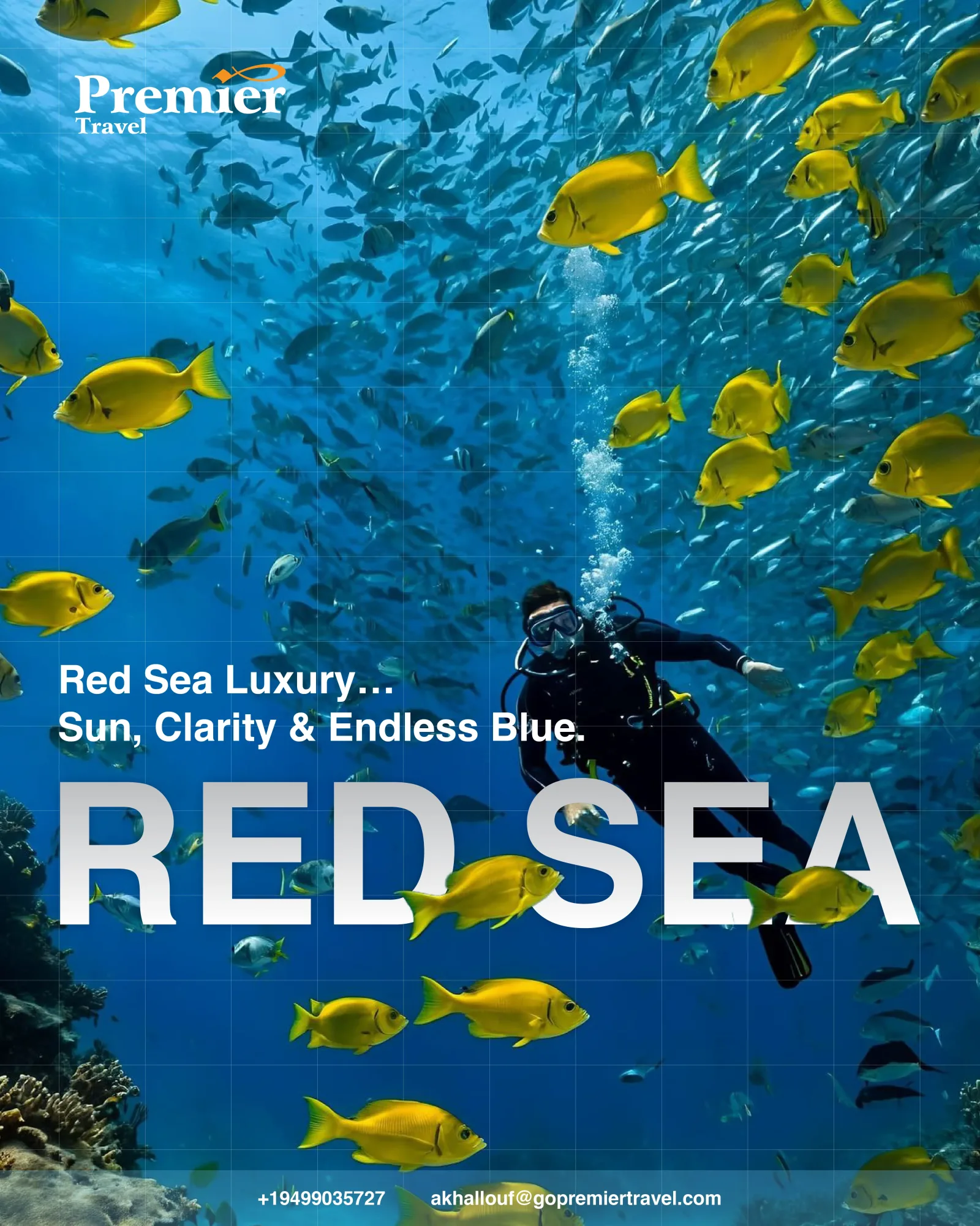 Premier Travel: Turning a Full-Service Travel Agency Into a Visual Experience